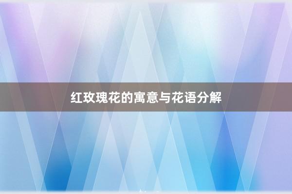 红玫瑰花的寓意与花语分解