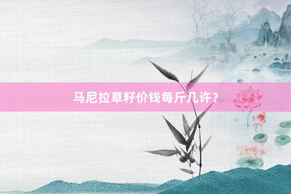 马尼拉草籽价钱每斤几许?