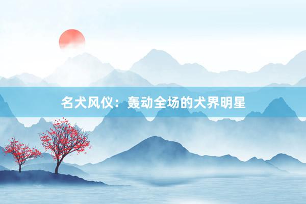名犬风仪：轰动全场的犬界明星